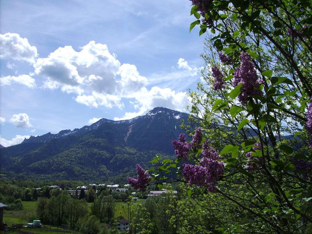 Leitnerhof Hotel บาดไรเฮนฮัล ภายนอก รูปภาพ