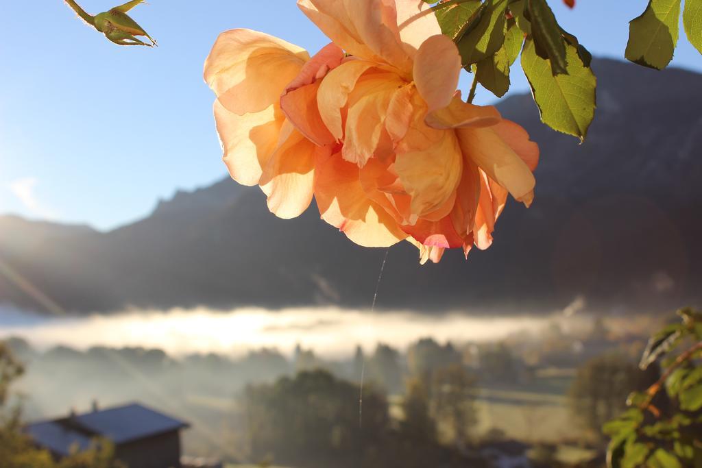 Leitnerhof Hotel บาดไรเฮนฮัล ภายนอก รูปภาพ